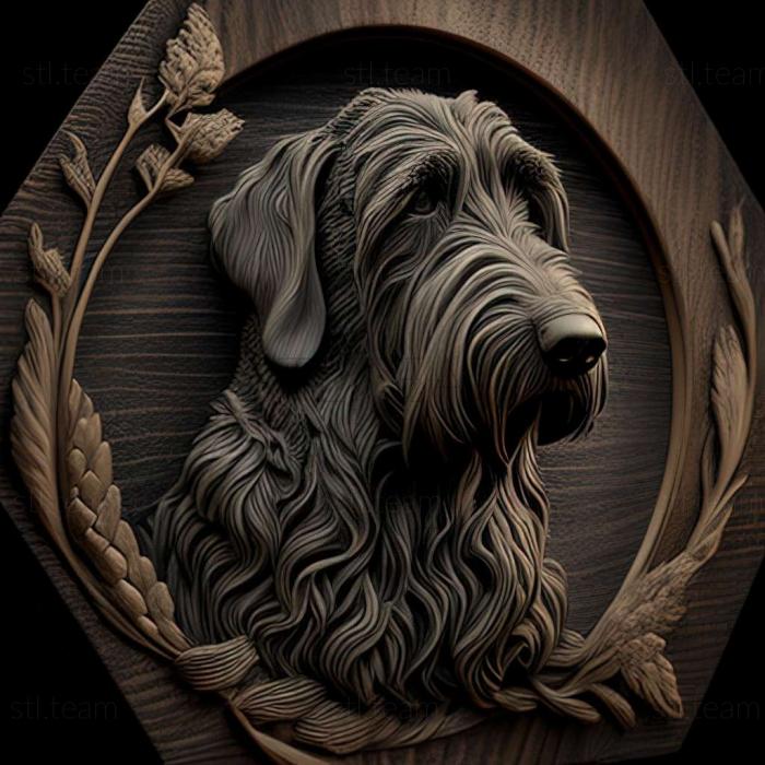 Animals Irish Wolfhound dog